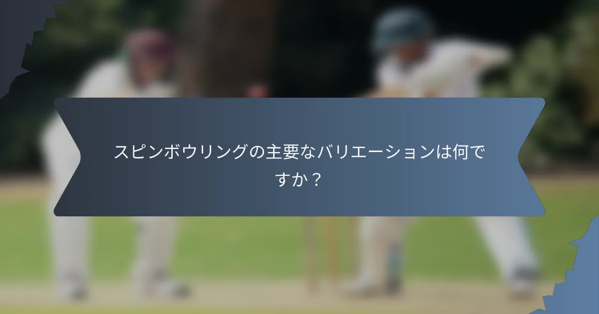 スピンボウリングの主要なバリエーションは何ですか？